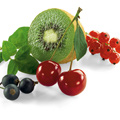 Conseils pour éviter que les fruits éclatent dans le four à micro-ondes