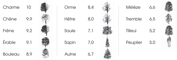 Classification des bois en fonction de leur apport en chaleur 